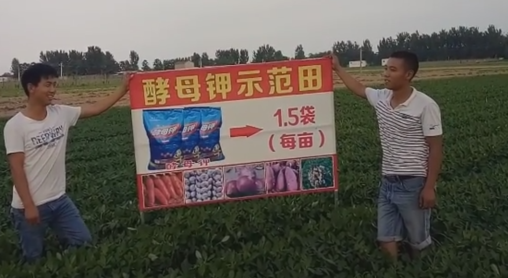 河南开封市通许县西板张庄村酵母钾花生示范田张卫彬15937848799.png