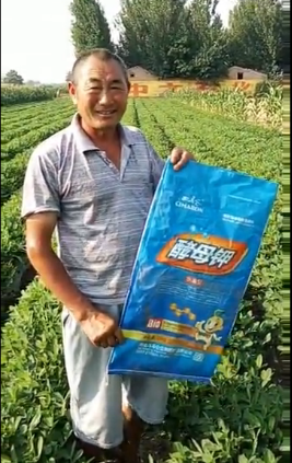 河南开封县王禹区农户曹金生(15037846635)酵母钾花生示范田.png