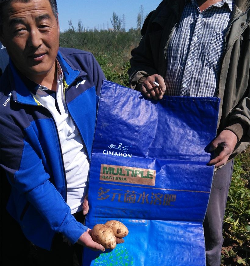 内蒙古乌兰察布土豆种植农户
